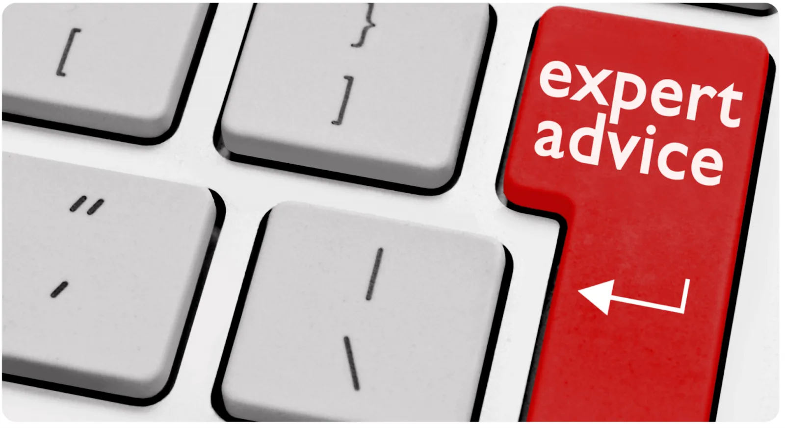 Imágenes de colaboración de Expertos de Adalo