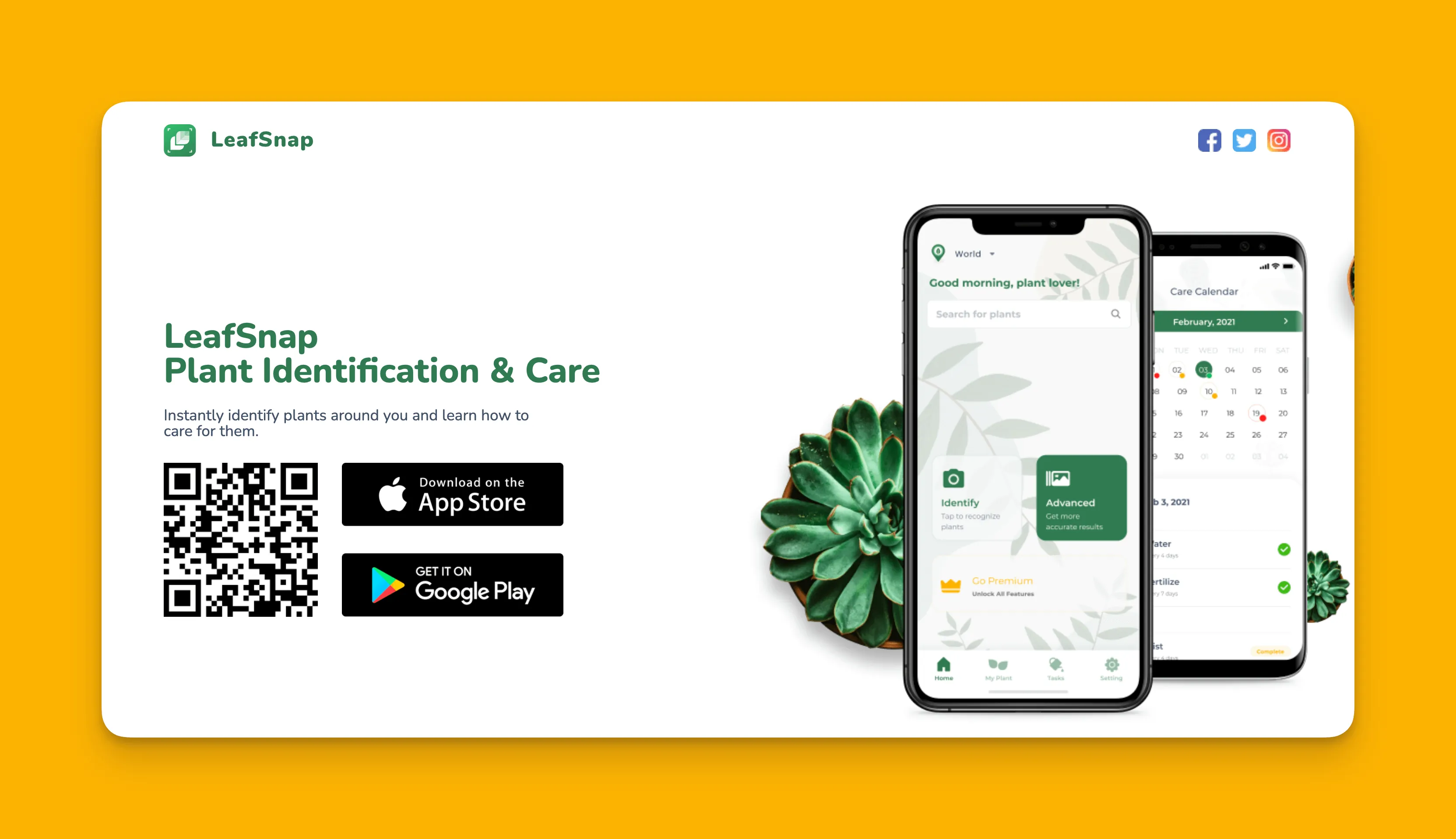 Interfaz de LeafSnap