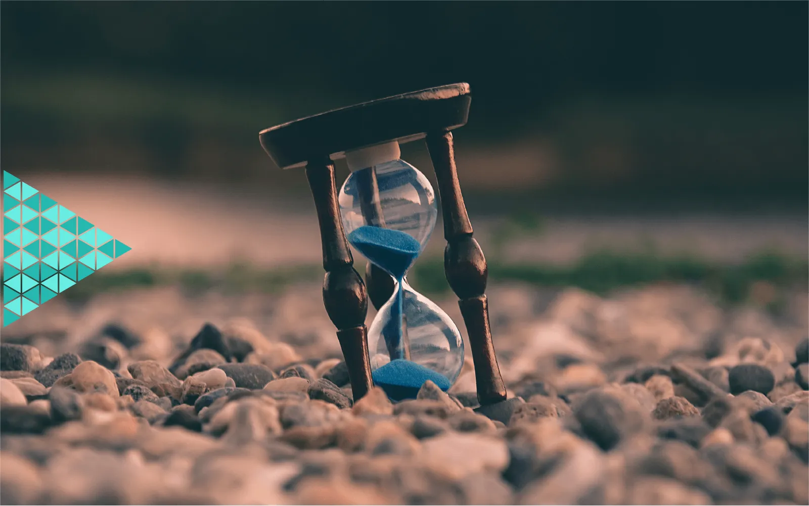 Innovación y confianza en las organizaciones