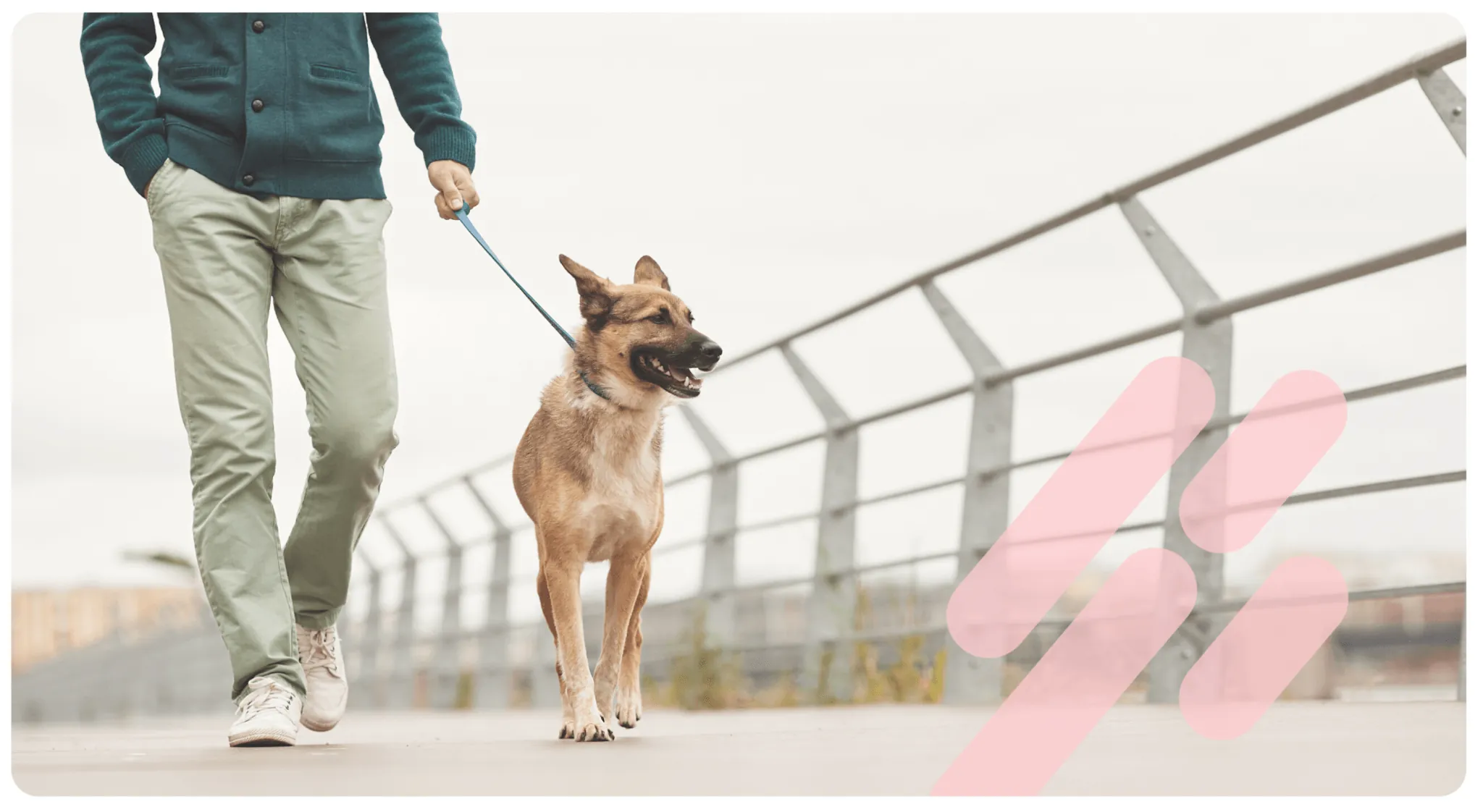 Tomarse un descanso del desarrollo de aplicaciones