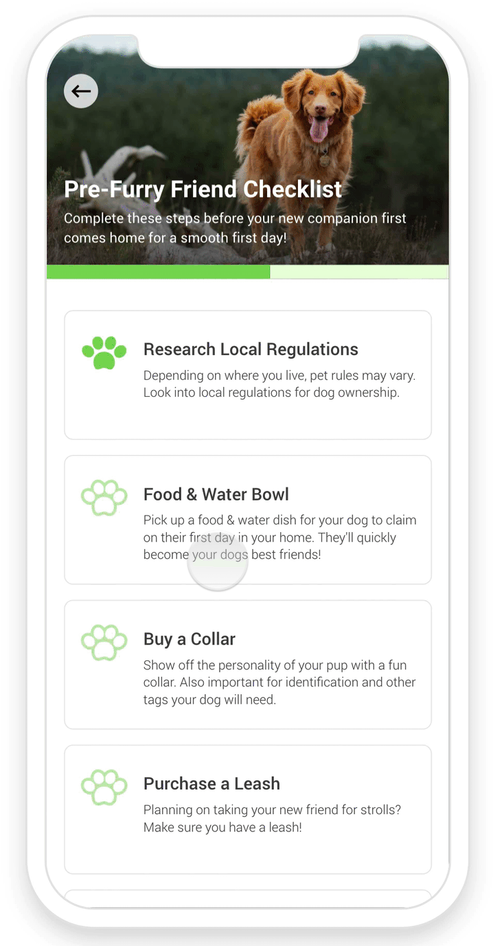 Progress Bar preview